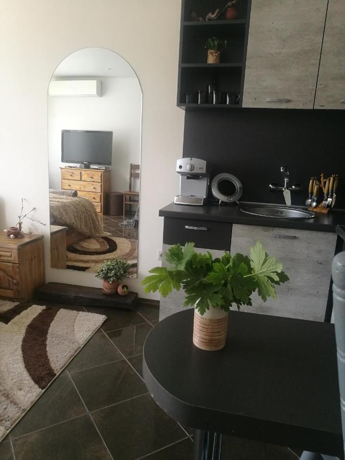 Studio Anastasia Сапарева Баня Екстериор снимка