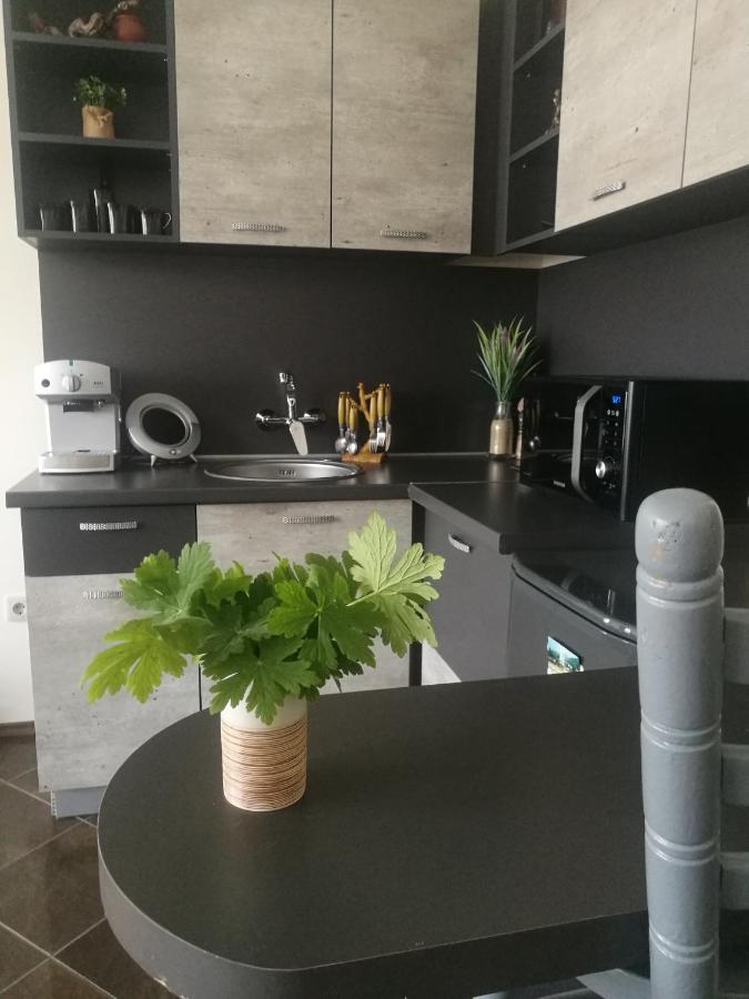 Studio Anastasia Сапарева Баня Екстериор снимка