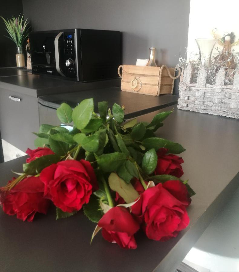 Studio Anastasia Сапарева Баня Екстериор снимка