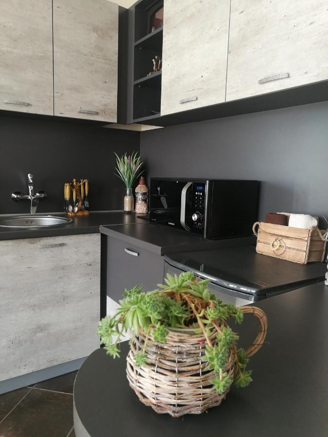 Studio Anastasia Сапарева Баня Екстериор снимка